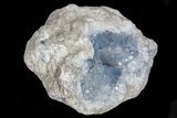 Blue Celestine (Celestite) Crystal Geode - Madagascar #70825-1